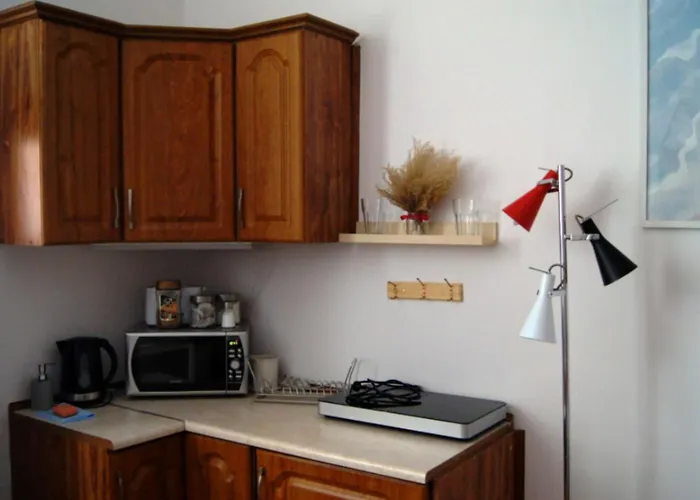 아파트 Cozy Old Town 크라쿠프