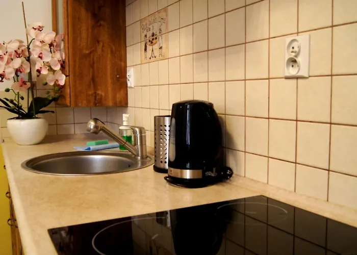 아파트 Cozy Old Town *