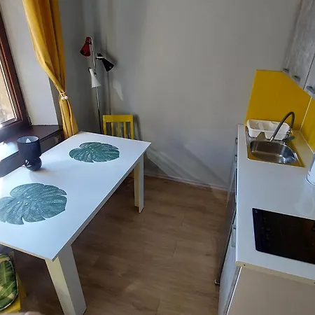 Cozy Old Town Apartment *