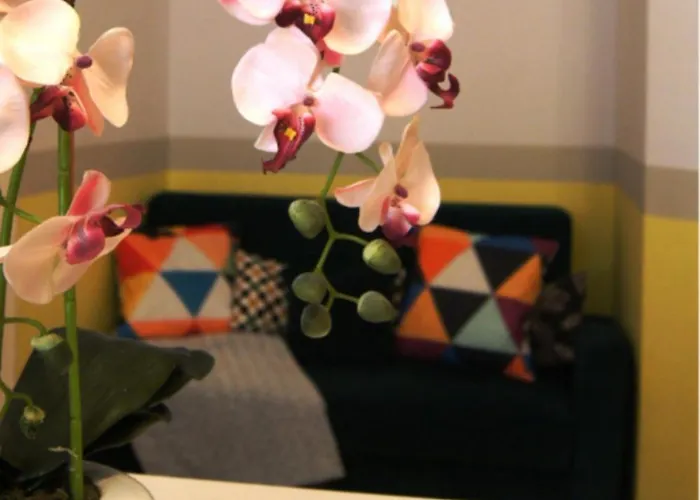 Cozy Old Town Kraków